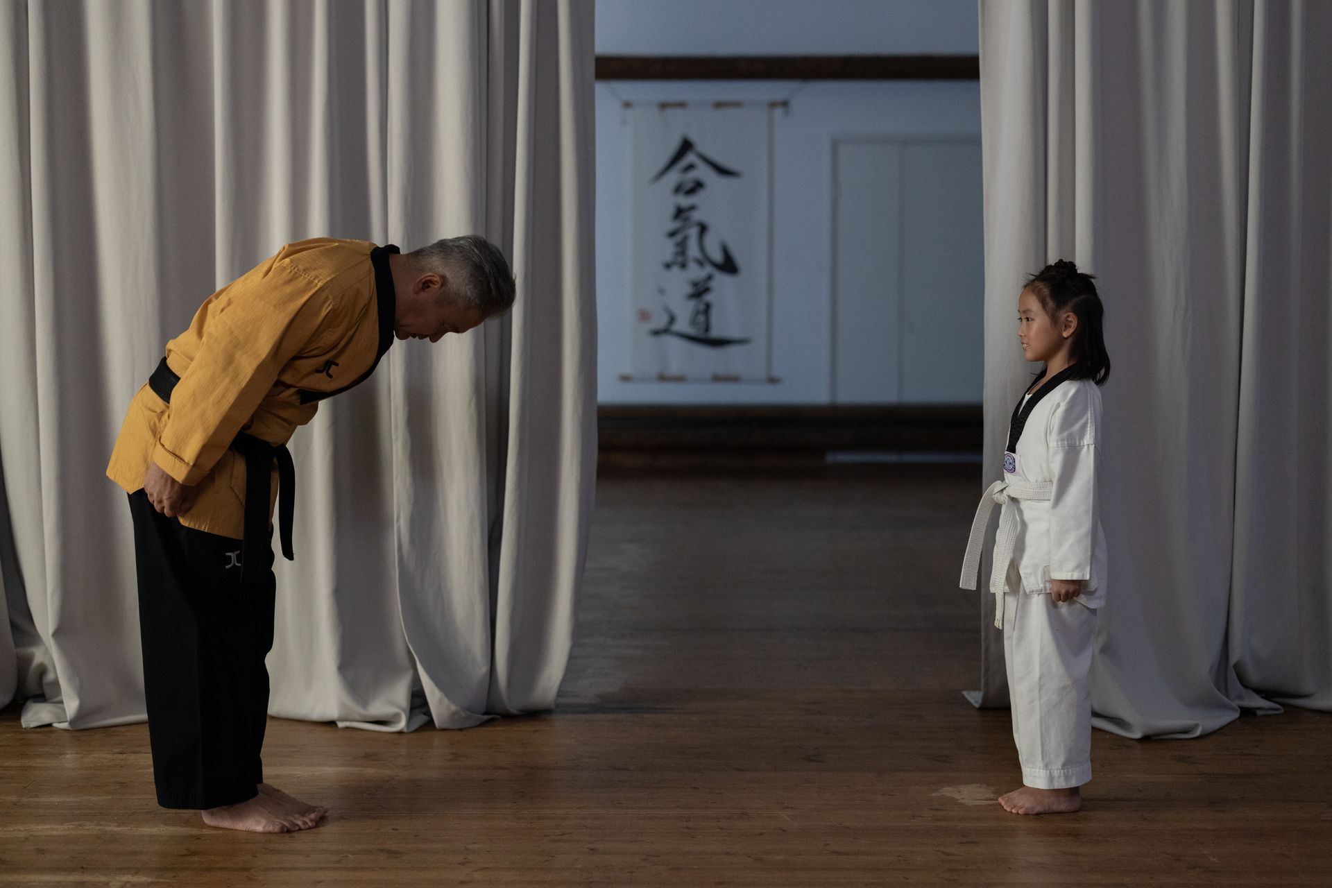 Dojo Training Session